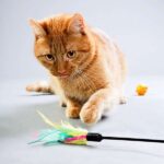 GATOS