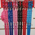 Collar Bandana Chico