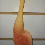 Juguete Muslo De Pollo