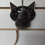 Juguete Para Gato Ratón Peludo Oscuro