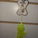 Juguete Pescado Macizo
