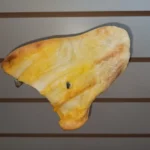 Oreja De Vaca Comestible