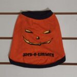 Disfraz Calabaza De Algodón Halloween