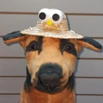 Gorros De Paja Para Mascotas