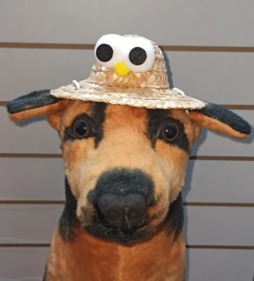 Gorros De Paja Para Mascotas