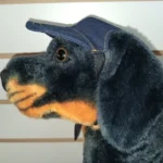 Gorros Para Mascotas - Talle L