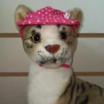 Gorros Para Mascotas - Talle XS