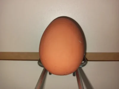 Juguete Huevo Macizo