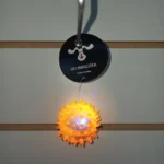 Juguete Pelota Pinchos Mini Con Luz