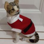 Ropa Disfraz De Papá Noel 30 Cm