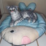 Cama Forma De Pez