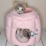 Cama Iglú Octogonal Para Gato