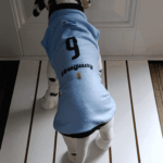 Buzo Polar Uruguay 60 Cm.