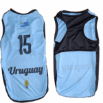 Camiseta De Fútbol 75 Cm.